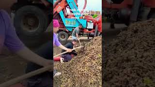 Sezona Hazir Miyiz Indıklar Çe Şfet