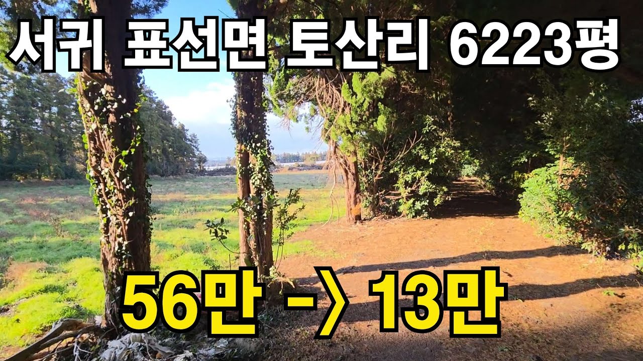 [경매] 서귀포시 표선면 토산리 이차선접 6223평 010 4436 0401 