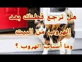 هل ترجع القطط بعد الهروب من البيت أسباب غريبة شاهد بنفسك 