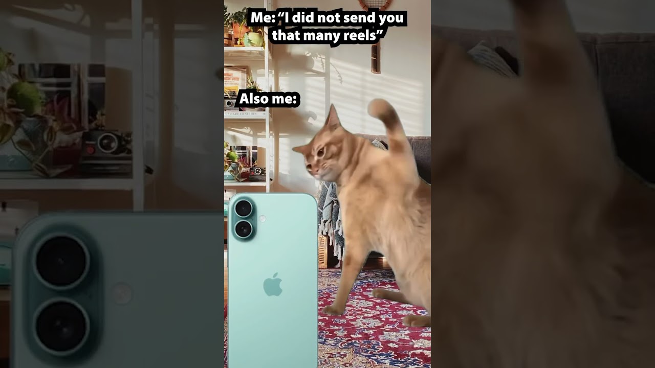 I dont send too many reels! 