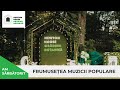 Festivalul de muzică populară ACASĂ 2021, NEWTON HOUSE partener general