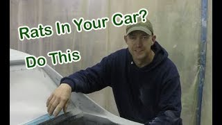 Keeping rodents out of your car