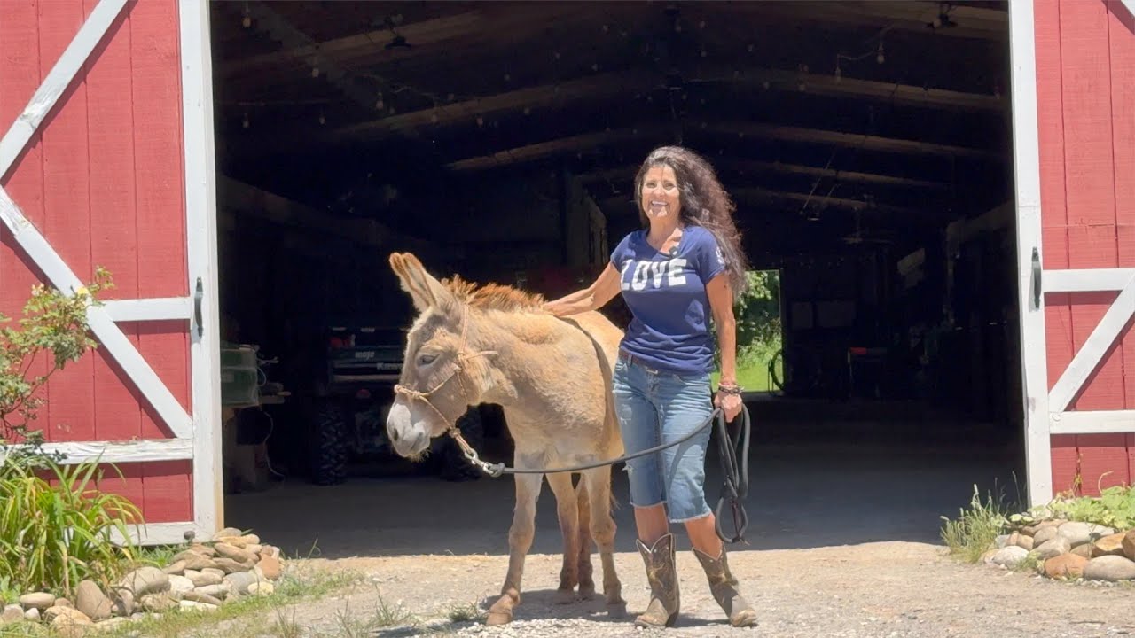 Laura Layton 2025 Counseling