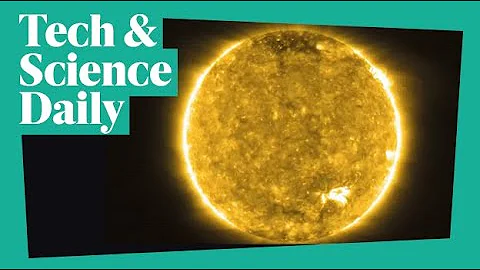 Sun’s ‘canyon of fire’ shoots solar storms at Earth ...Tech & Science Daily