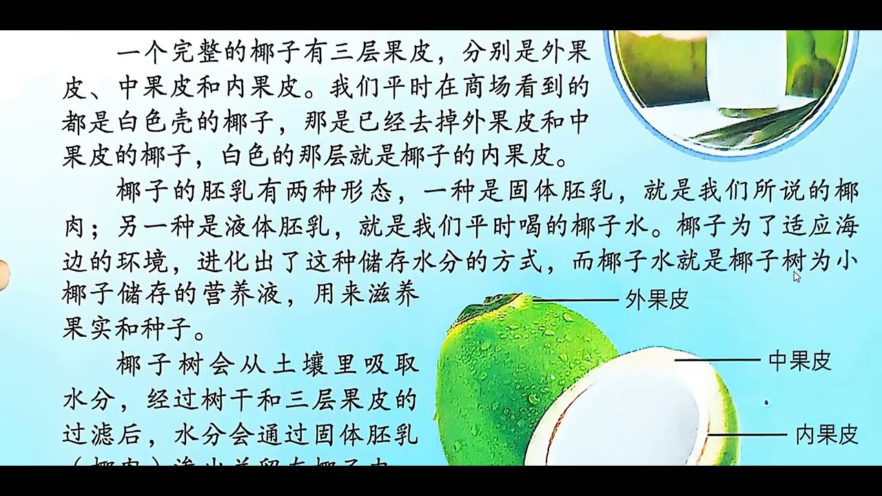 2026-01-09 二年级 椰子里为什么会有水？