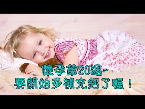 懷孕第20週~要開始多補充鈣了喔！！ 【我懷孕了】