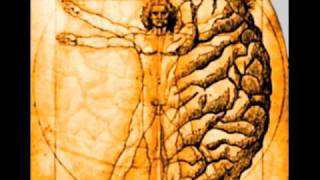 The Extended Mind