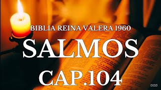 Spoken Bible-King James Version (King James Version) PSALMS 104