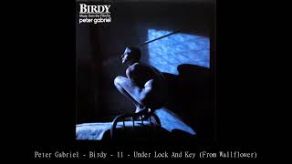Peter Gabriel   Birdy   11   Under Lock And Key From Wallflower