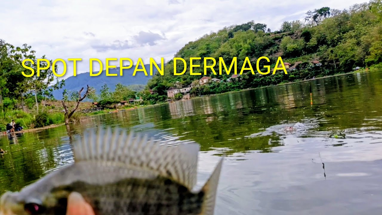 Full mberot hanya Didepan dermaga|| full sambaran||waduk bendo terkini
