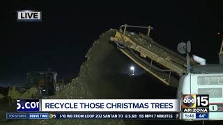 Recycle your Christmas trees!