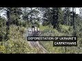 Deforestation of Ukraine’s Carpathians: Where Do We Go From Here?