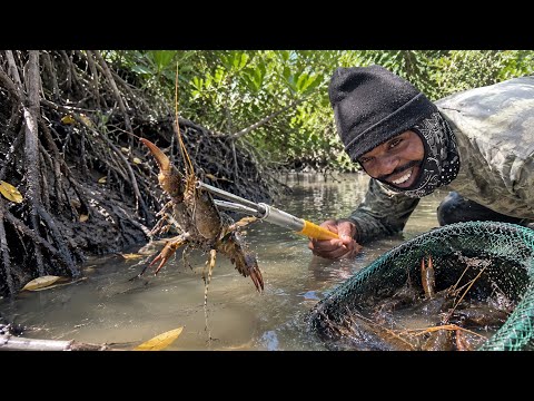 Drought In Jamaica Is hurting All The Crayfish So We Did This!!