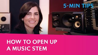 5-Min Leapwing Tips: How to open up a music stem with CenterOne