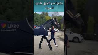 مااسم الخيل شديد السواد