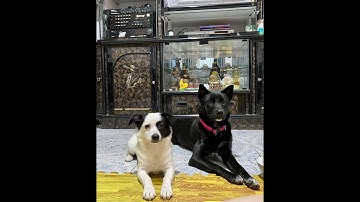 Thumbnail of you are my sunshine - Nick Lachey