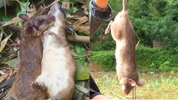 SƠN TRẠI MÓN THỊT CHUỘT - THĂM ÔNG CỤ SỐNG MỘT MÌNH TRONG RỪNG