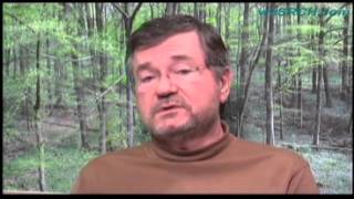 FD SOI: Disruptive or Just Another Process? ... with Dan Hutcheson