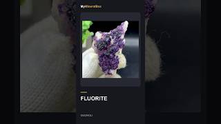 Video preview: Dark Purple Fluorite — Guizhou, China | Natural Mineral Specimen