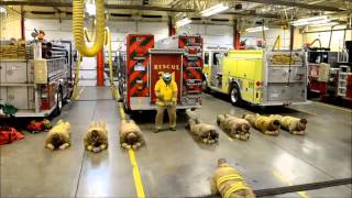 Harlem Shake Special Firefighter and Ambulance Edition