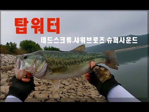 아직도 배수중 …탑워터 게임 #배스 #bassfishing #バス釣り初心者 #バス釣り #angler