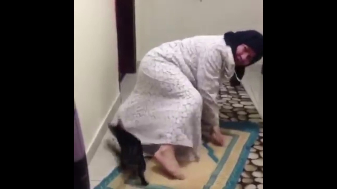 Kadının Namazını Bozan Kedi(NAMAZ BOŞA GİTTİ)) YouTube