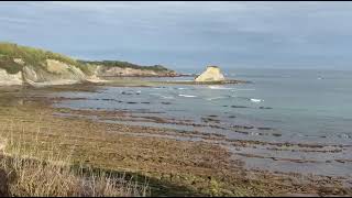 Ilôts Dandagorria.hedaye