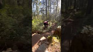 I love Willis #drop #mtb #aura #tuff #bike #downhill #mountainbike #jump #hesh #gnar #send #gooners