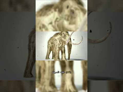 مش فيلم خيال علمي ده حقيقي الماموث راجع للحياة