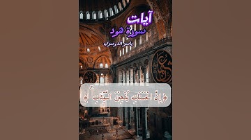 ﴿ وأقم الصلاة طرفي النهار وزلفا من الليل﴾ سورة هود | ياسر الدوسري | آيات من القرآن كريم