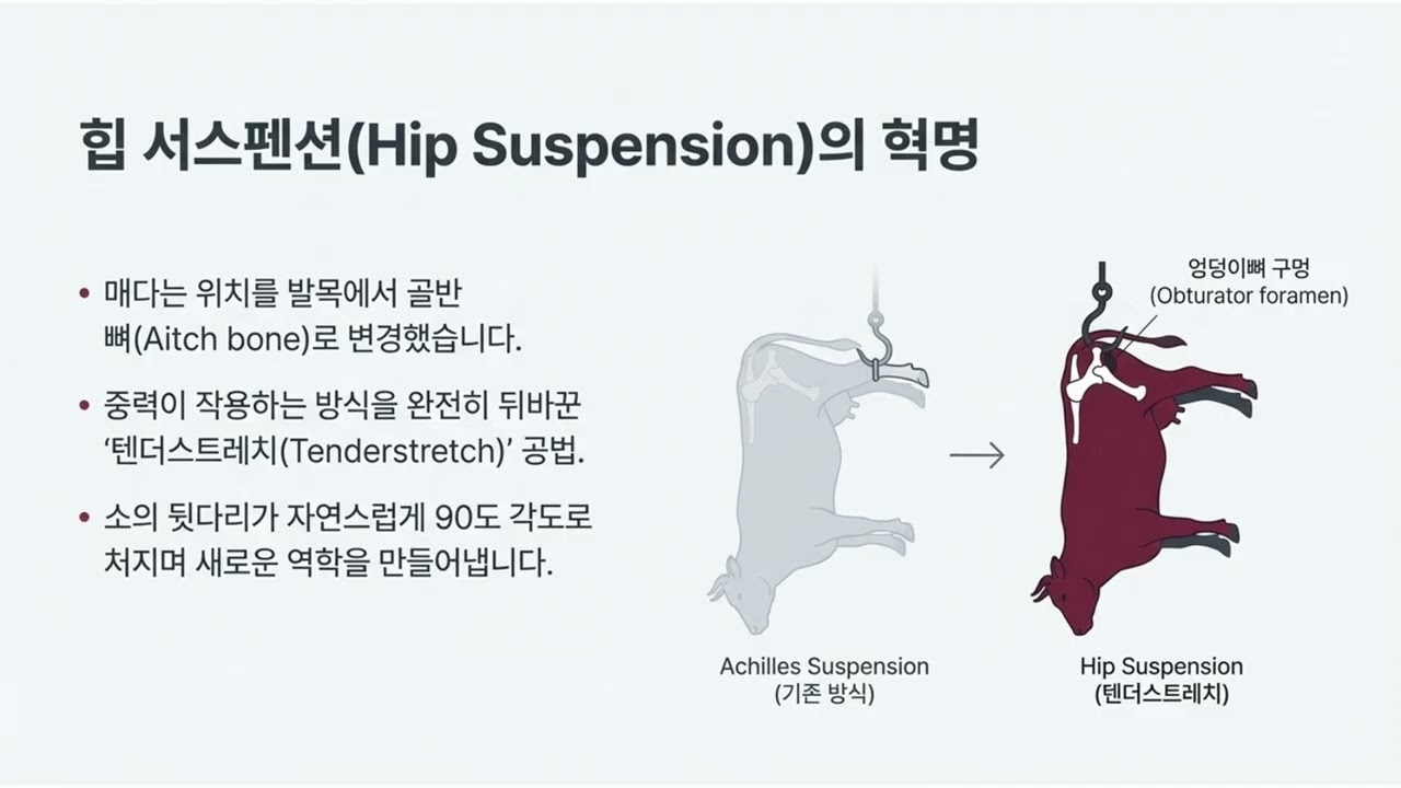 초록섬의 약속4 1 1 울트라 텐더 중력과 과학으로 설계한 최상의 부드러움