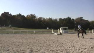 Anna_Jackalope_Crosswinds10_9_2010.avi
