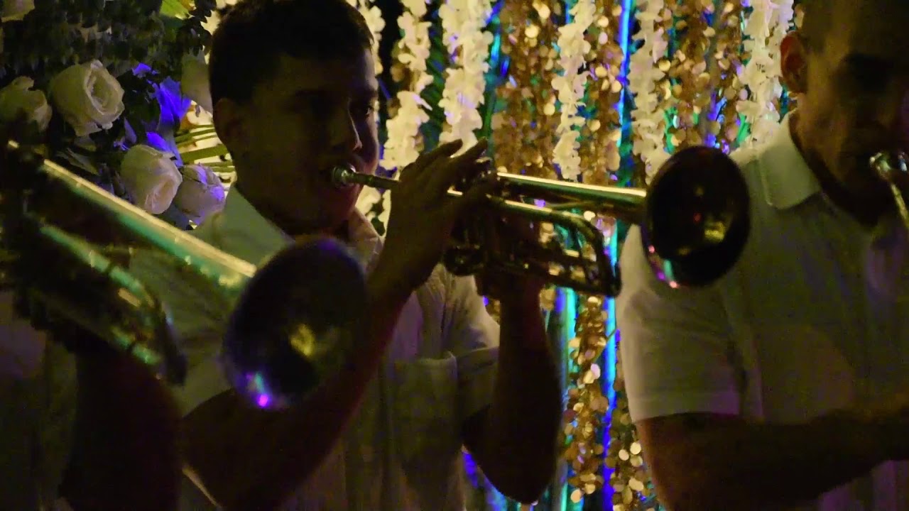 Papayera Antioquia (Mix) Cel. 3017894174 Cel. 3012422216