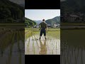 #世界のSugarfields準備中 #shorts