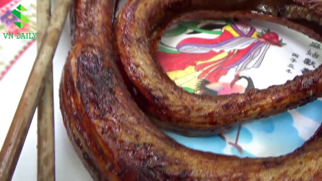 video editing software free How to eat snake