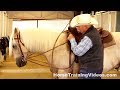 How To Adjust Draw Reins On Your Horse