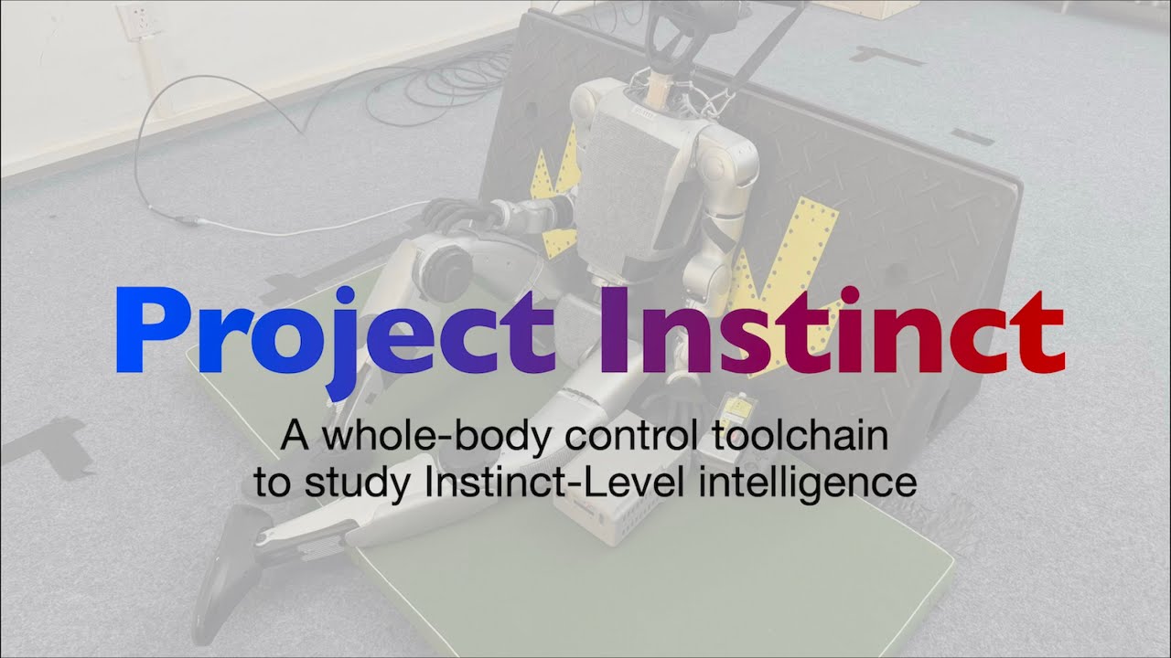 Project Instinct (Instinct-Level Intelligence)