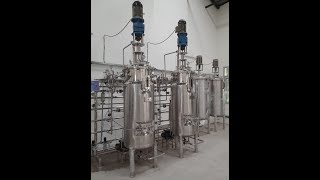 Parallel Fermenters of Capacities 300Ltrs with Complete set up
