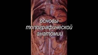 Павел Пульняшенко: УЗ-диагностика в ветеринарной медицине