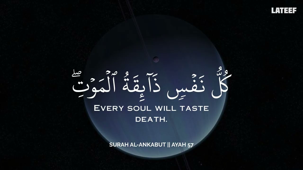 أرح سمعك.. تلاوة هادئة تريح القلب والعقل💛😴 | ساعة كاملة🕛🎧 القارئ محمد هشام | Mohamed Hesham