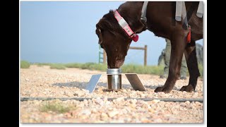 Training an Indication - Progression for Detection or Tracking
