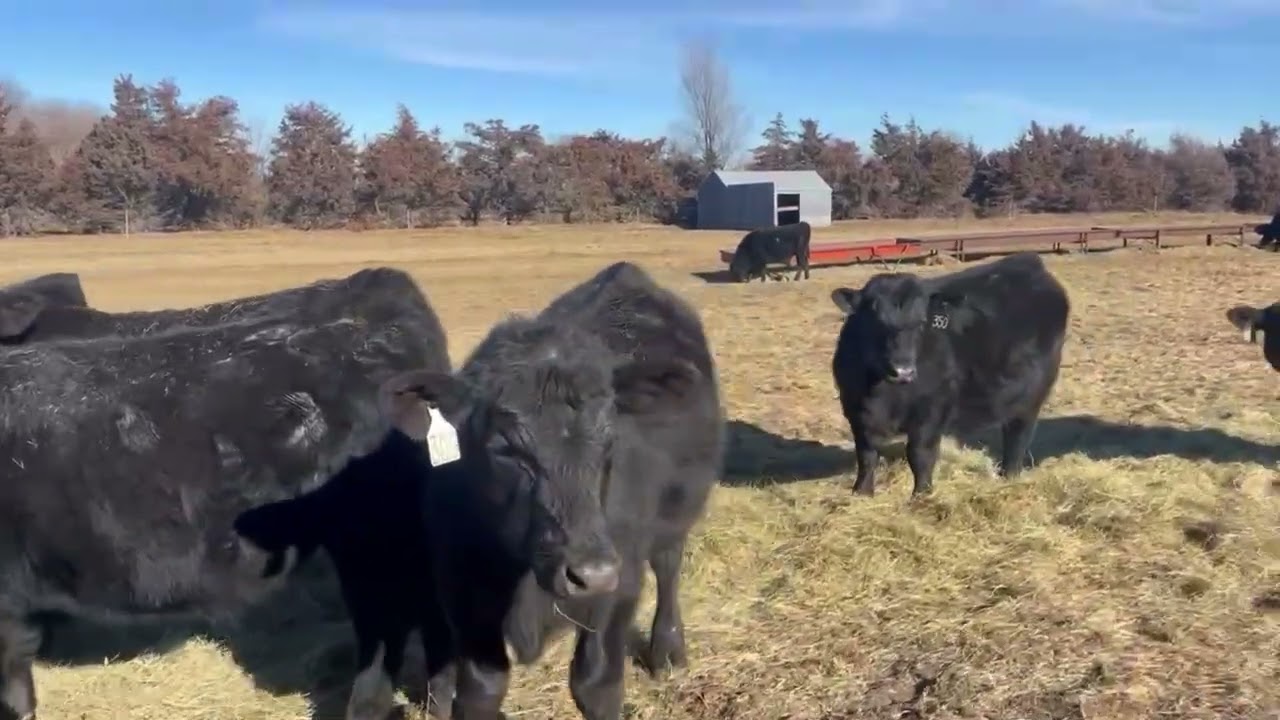 Paxton Ranch Strs 1 20 2026