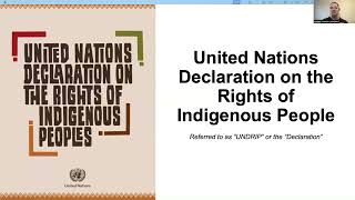 Foundational Obligations to Indigenous Peoples Training Series: Session 1 - UNDRIP