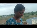 தர்மகோல் பெட்டி வைத்து செடிகள் வச்சாச்சு எங்க வீட்டு செல்லக்குட்டிகள்
