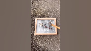 BREAKING INTO THE EMERGENCY STIMPAK CASE!