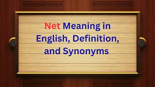 Celebrity Net Meaning in English | Definition, Synonyms, and Examples Net Worth