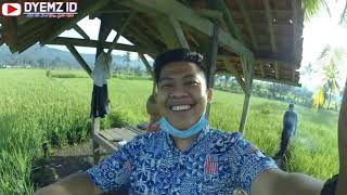 Mampag Sunda di Tengah Sawah Di Kejar Banci