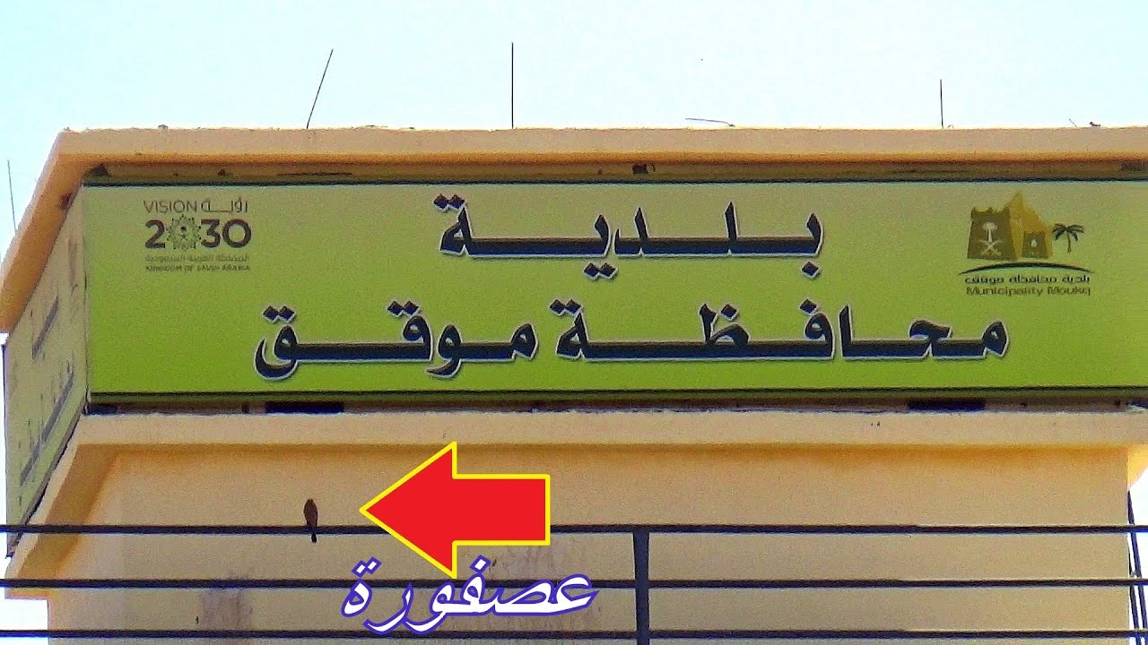 موقق  |  شيــل نقطه