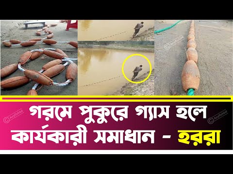 প ক র হরর ট ন র ন য ম এব উপক র ত প ক র গ য স দ র কর র ক র যক র উপ য Any Fish BD