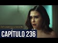 La Novia De Estambul - Capítulo 236 (Audio Español) - İstanbullu Gelin